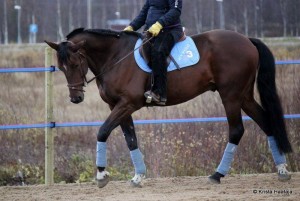 1391811_525865444163404_1886958729_n