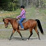 Lännenratsastaen Huminalehdossa – Miksi niin?