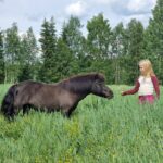 Itseluottamus ja omalla tasolla toimiminen hevosten kanssa