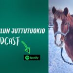 Lempeämpi tallikulttuuri ja puolikas poni