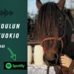 Varusteviidakko – mitä ja miksi?