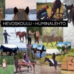 Miten voit aloittaa uudella tallilla? Kuinka hevosharrastus muuttaa muotoaan?