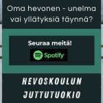 Oma hevonen – unelma vai yllätyksiä täynnä?